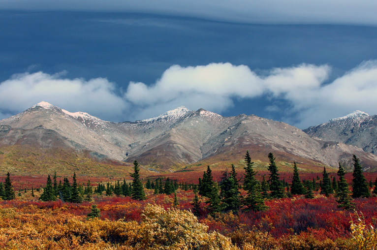 alaska bush and remote moving