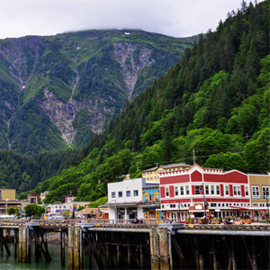 juneau whales playing