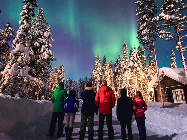 Beautiful picture of massive multicolored green vibrant Aurora Borealis, Aurora Polaris, also know as Northern Lights in the night sky over winter