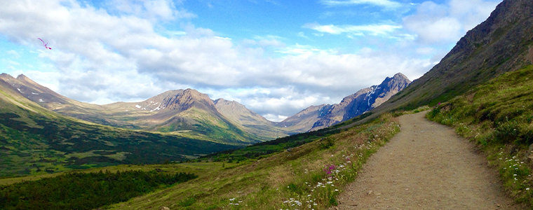 Alaska-Flattop-Mountain